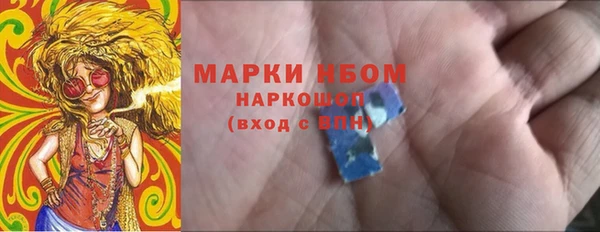 прущие грибы Каменногорск