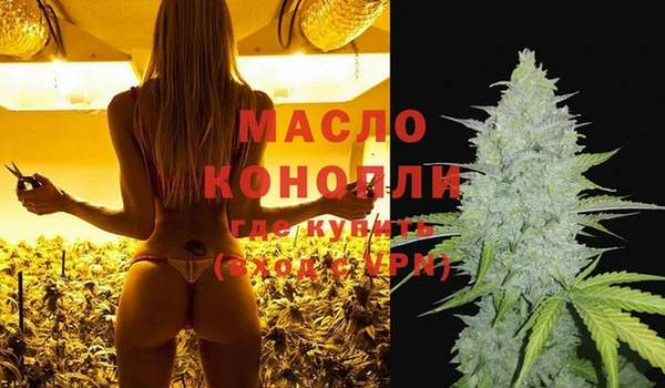 прущие грибы Каменногорск