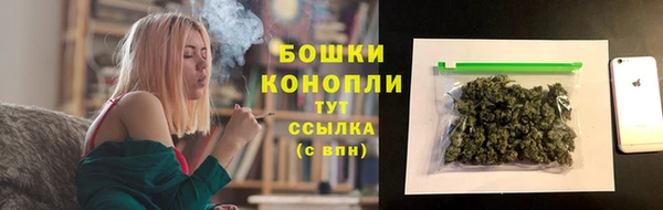 прущие грибы Каменногорск