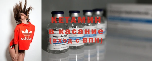 прущие грибы Каменногорск