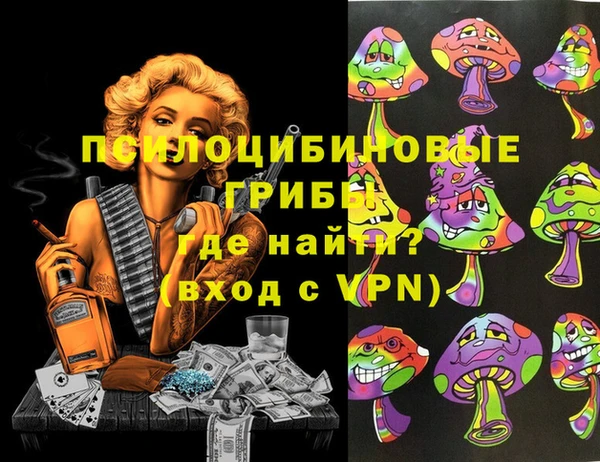 прущие грибы Каменногорск