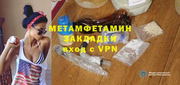 прущие грибы Каменногорск