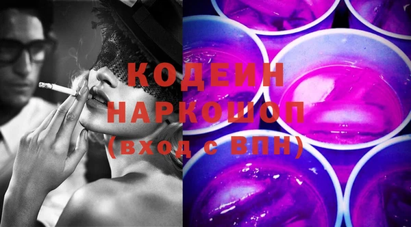 прущие грибы Каменногорск