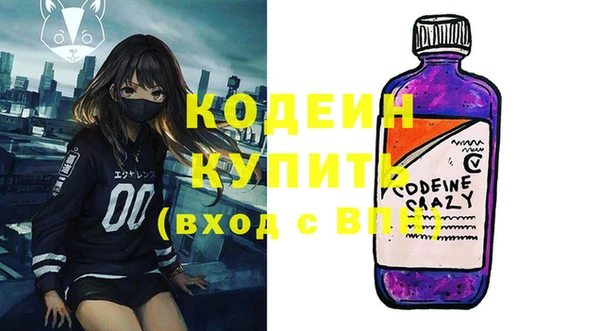 прущие грибы Каменногорск
