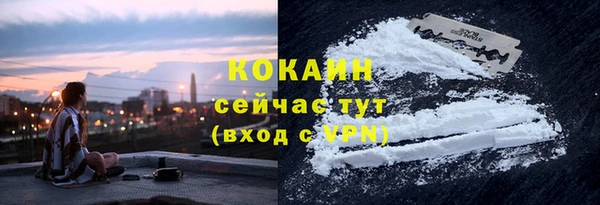 прущие грибы Каменногорск