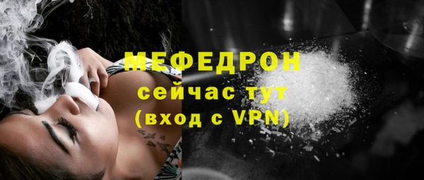 прущие грибы Каменногорск